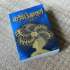 Areeya Metaya อารียา เมตายา ภาษาจิต องค์ความรู้และภูมิปัญญาจากจักรวาล
