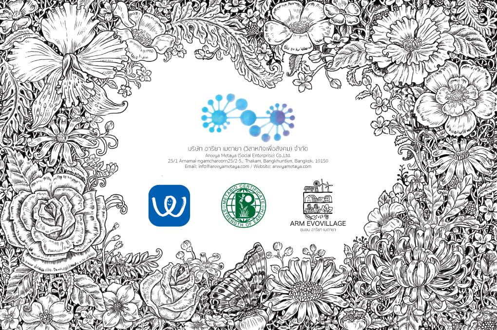 The Origin of Areeya Metaya (Social Enterprise) Co., Ltd.